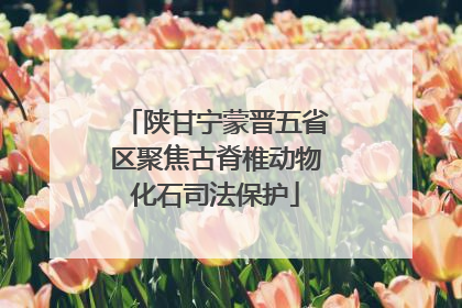 陕甘宁蒙晋五省区聚焦古脊椎动物化石司法保护