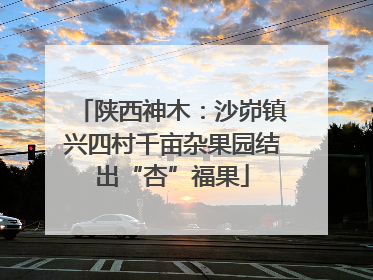 陕西神木：沙峁镇兴四村千亩杂果园结出“杏”福果
