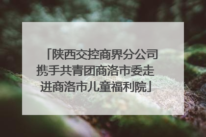陕西交控商界分公司携手共青团商洛市委走进商洛市儿童福利院