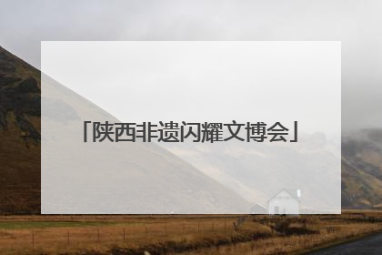 陕西非遗闪耀文博会