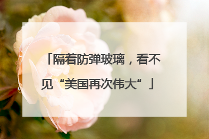 隔着防弹玻璃，看不见“美国再次伟大”