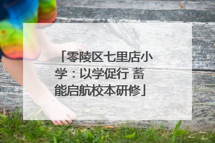 零陵区七里店小学：以学促行 蓄能启航校本研修
