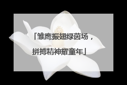 雏鹰振翅绿茵场，拼搏精神耀童年