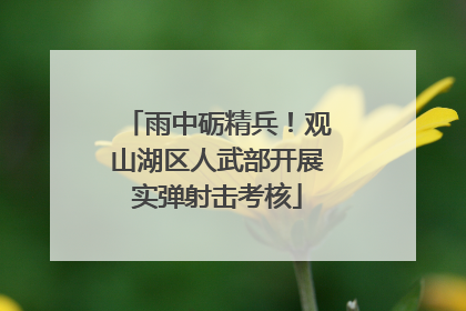 雨中砺精兵！观山湖区人武部开展实弹射击考核