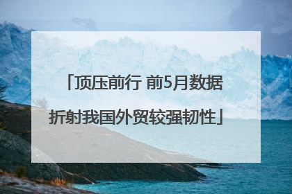 顶压前行 前5月数据折射我国外贸较强韧性