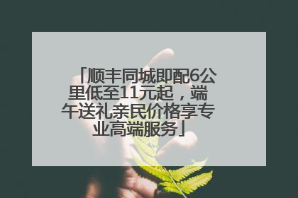 顺丰同城即配6公里低至11元起，端午送礼亲民价格享专业高端服务