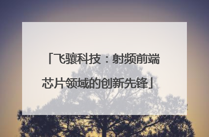 飞骧科技：射频前端芯片领域的创新先锋