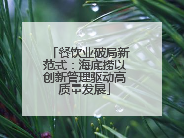 餐饮业破局新范式：海底捞以创新管理驱动高质量发展