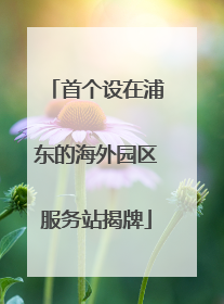 首个设在浦东的海外园区服务站揭牌
