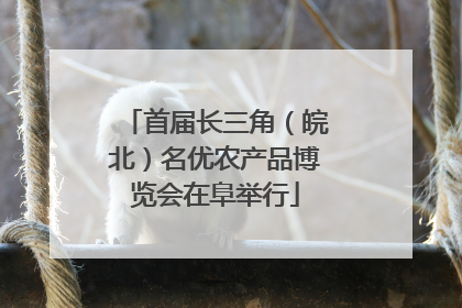 首届长三角（皖北）名优农产品博览会在阜举行