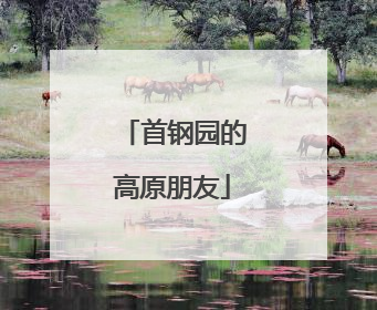 首钢园的高原朋友