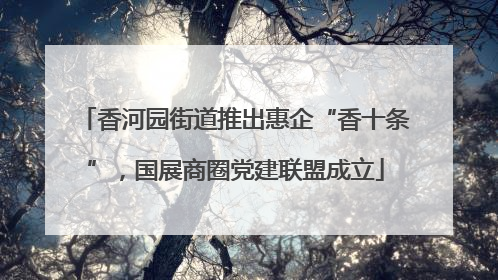 香河园街道推出惠企“香十条”，国展商圈党建联盟成立