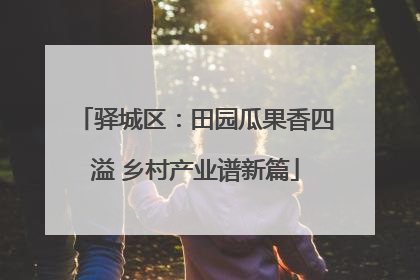驿城区：田园瓜果香四溢 乡村产业谱新篇