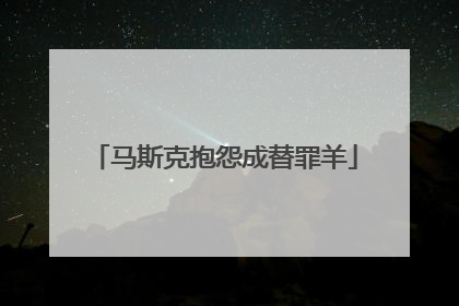 马斯克抱怨成替罪羊