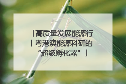 高质量发展能源行丨粤港澳能源科研的“超级孵化器”