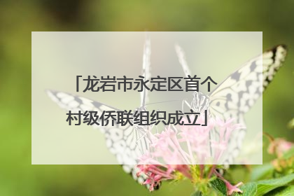 龙岩市永定区首个村级侨联组织成立