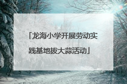 龙海小学开展劳动实践基地拔大蒜活动