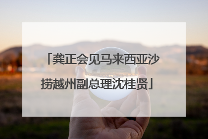 龚正会见马来西亚沙捞越州副总理沈桂贤