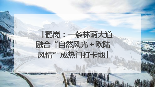 鹤岗：一条林荫大道融合“自然风光＋欧陆风情”成热门打卡地
