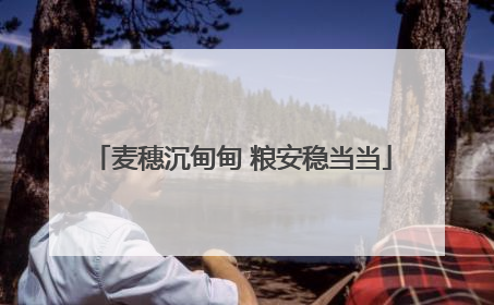 麦穗沉甸甸 粮安稳当当