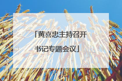 黄喜忠主持召开书记专题会议