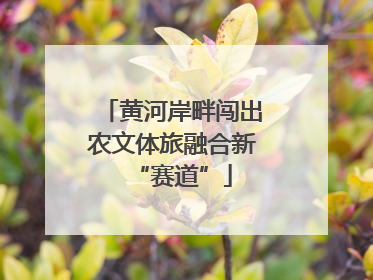 黄河岸畔闯出农文体旅融合新“赛道”
