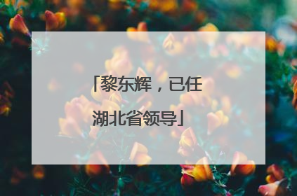 黎东辉，已任湖北省领导