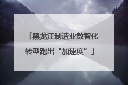 黑龙江制造业数智化转型跑出“加速度”