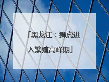 黑龙江：狮虎进入繁殖高峰期