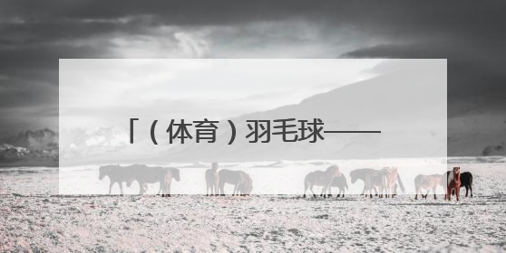 （体育）羽毛球——印尼公开赛：程星/张驰晋级混双八强