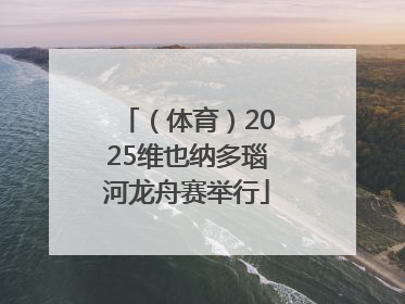 （体育）2025维也纳多瑙河龙舟赛举行