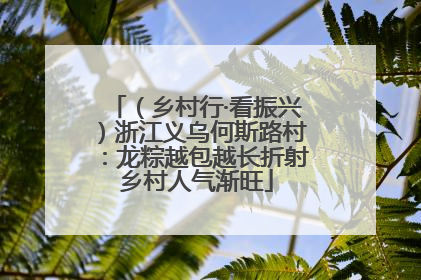 （乡村行·看振兴）浙江义乌何斯路村：龙粽越包越长折射乡村人气渐旺