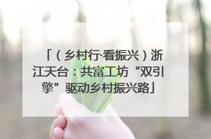 （乡村行·看振兴）浙江天台：共富工坊“双引擎”驱动乡村振兴路