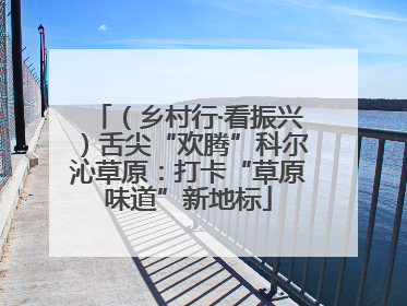 （乡村行·看振兴）舌尖“欢腾”科尔沁草原：打卡“草原味道”新地标