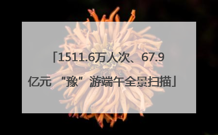 1511.6万人次、67.9亿元 “豫”游端午全景扫描