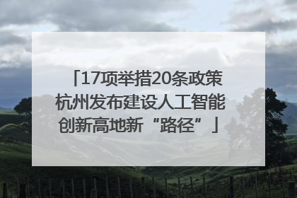17项举措20条政策 杭州发布建设人工智能创新高地新“路径”