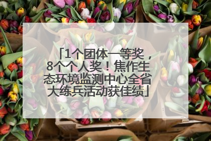 1个团体一等奖，8个个人奖！焦作生态环境监测中心全省大练兵活动获佳绩