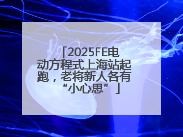 2025FE电动方程式上海站起跑，老将新人各有“小心思”