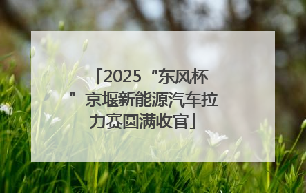 2025“东风杯”京堰新能源汽车拉力赛圆满收官