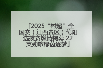 2025“村超”全国赛（江西赛区）弋阳选拔赛燃情揭幕 22支劲旅绿茵逐梦