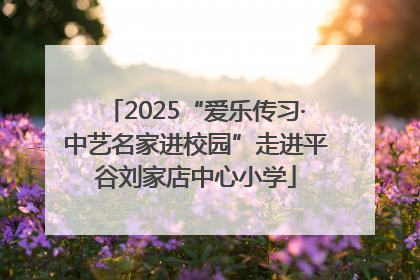 2025“爱乐传习·中艺名家进校园”走进平谷刘家店中心小学