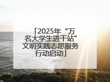 2025年“万名大学生进千站”文明实践志愿服务行动启动