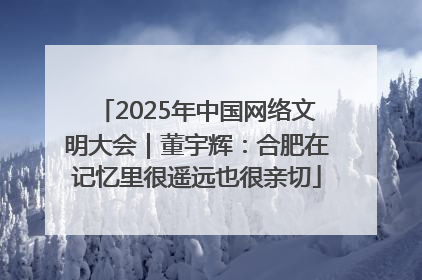 2025年中国网络文明大会｜董宇辉：合肥在记忆里很遥远也很亲切