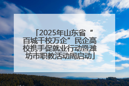 2025年山东省“百城千校万企”民企高校携手促就业行动暨潍坊市职教活动周启动