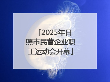2025年日照市民营企业职工运动会开幕
