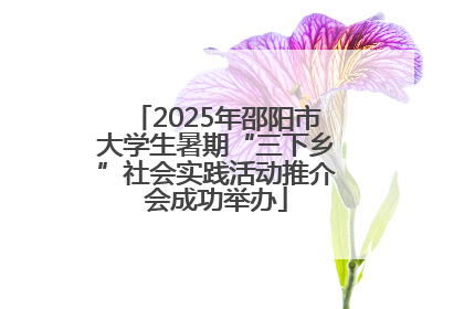 2025年邵阳市大学生暑期“三下乡”社会实践活动推介会成功举办
