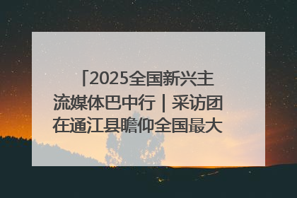 2025全国新兴主流媒体巴中行｜采访团在通江县瞻仰全国最大红军烈士陵园