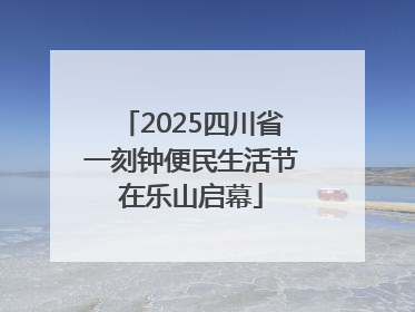 2025四川省一刻钟便民生活节在乐山启幕