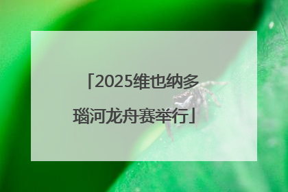 2025维也纳多瑙河龙舟赛举行