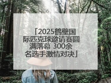 2025鹤壁国际匹克球邀请赛圆满落幕 300余名选手激情对决